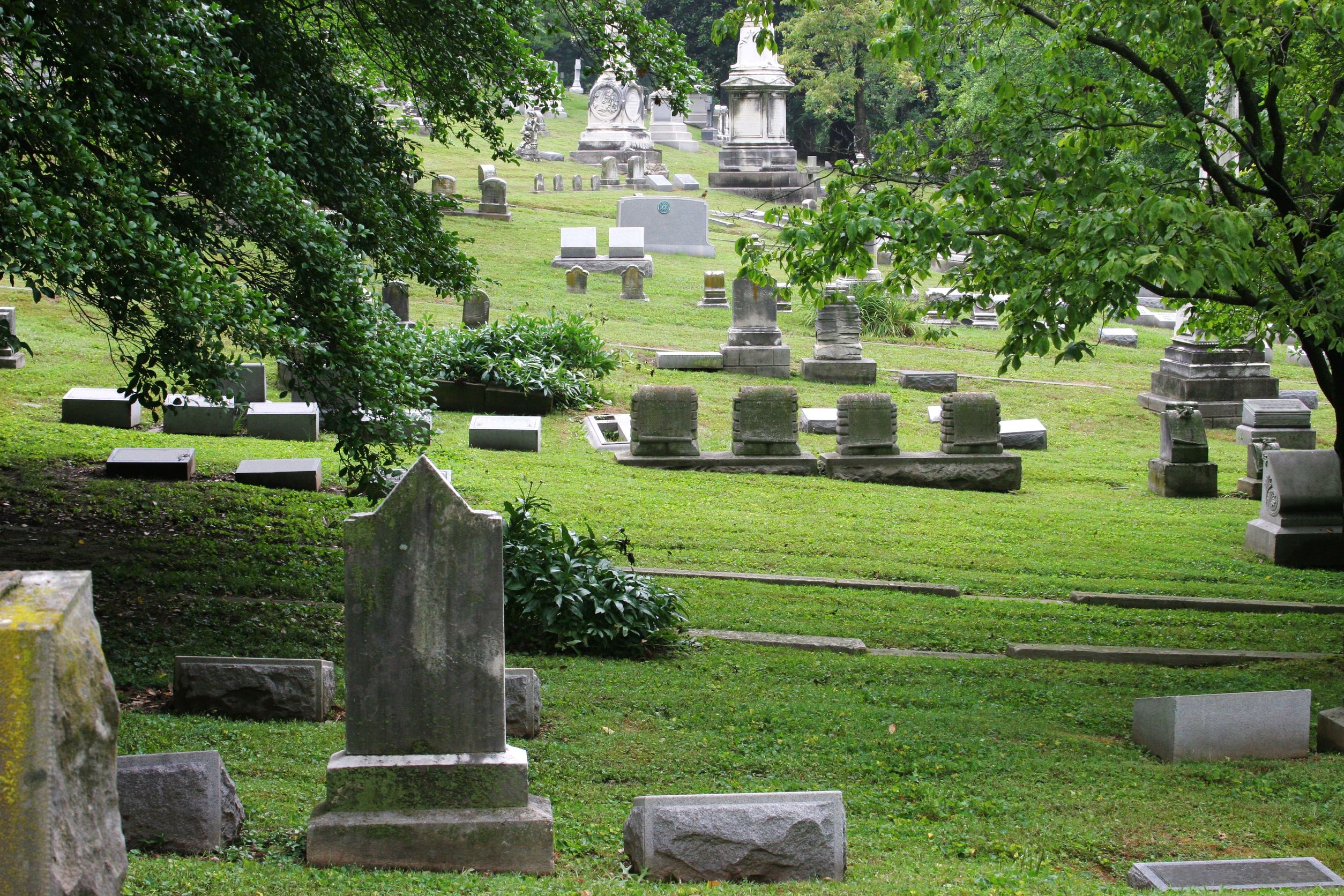 A Guide to Funeral Arrangements in Deland, FL