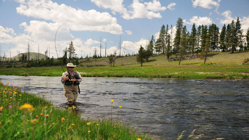 Reasons You Need a Delta Striped Bass Fishing Guide