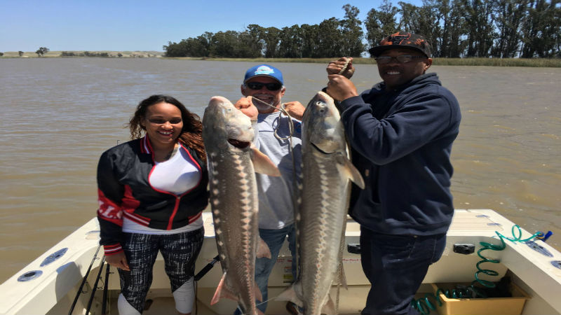 Unplug and Reconnect With Nature by Going Sport Fishing in Oakley, CA