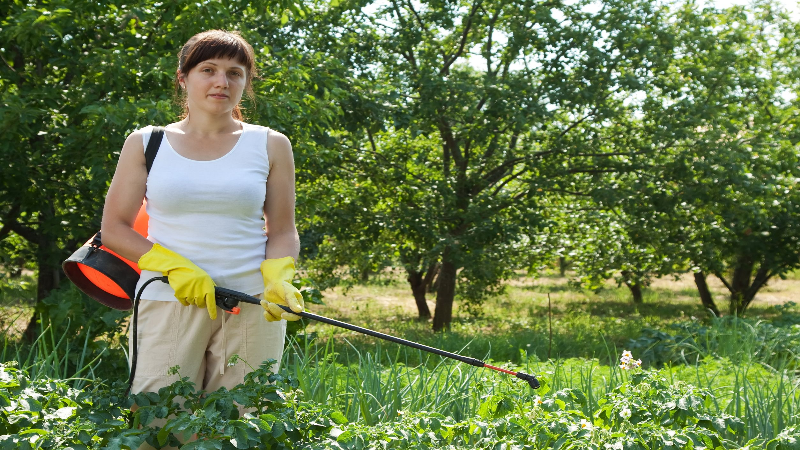 Looking for Soil Testing in Avon, IN