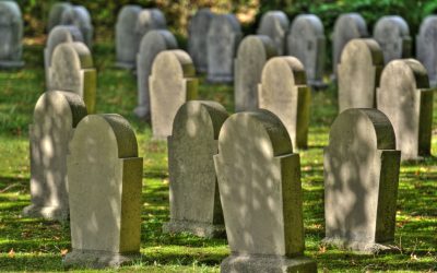 Have You Considered These Four Sticking Points About Your Potential Cemetery?