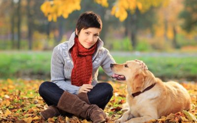 A Professional Dog Sitter in Denver Will Take Great Care of Your Canine Companion