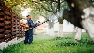 Why a Landscape Weeding Service in Prospect, KY is Crucial for the Health of Your Property