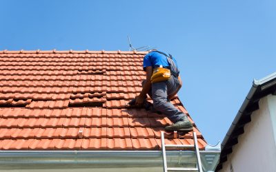 Mastering Roofing Repair in South Florida: Understanding Local Issues, Effective Repairs, and Professional Support