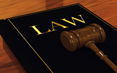 Understanding the Role of Job Related Lawyers in Minnesota