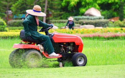 Experience A Greener Tomorrow With Weed Control Services in Oakville, MO, For Healthiest Lawns