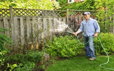 Effective Weed Control in Gainesville VA for a Pristine Lawn