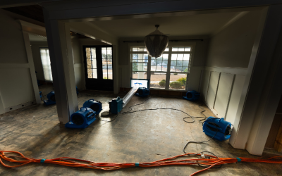 Water Damage Restoration Peachtree City – Your Emergency Guide